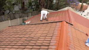 Roof-3